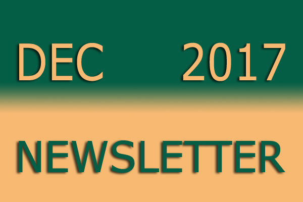 Simon Says Booking December Newsletter 2017Dec