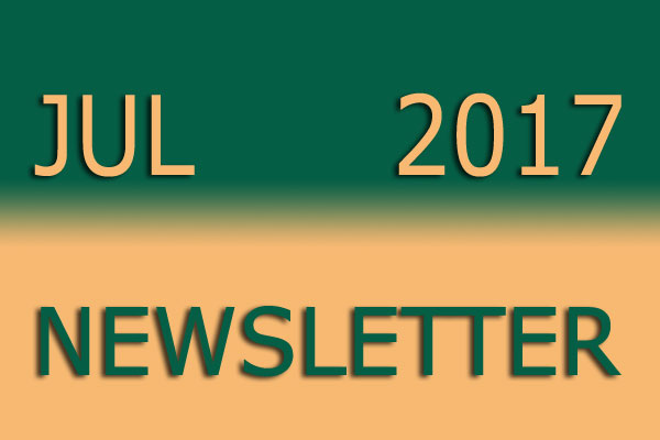 Simon Says Booking July Newsletter 2017Jul