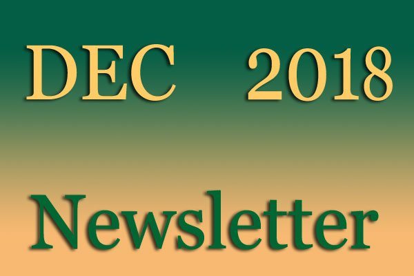 Simon Says Booking December Newsletter 2018Dec
