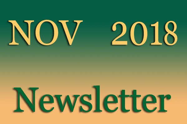 Simon Says Booking November Newsletter 2018Nov