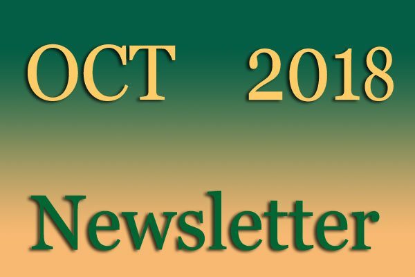 Simon Says Booking October Newsletter 2018Oct