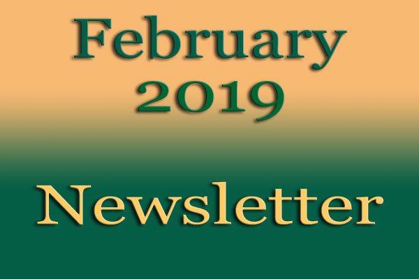 Simon Says Booking February Newsletter feb2019