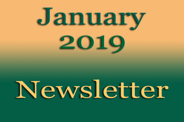 Simon Says Booking January Newsletter Jan2019