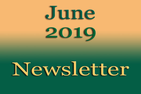 Simon Says Booking June Newsletter Jun2019