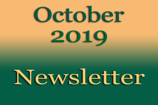 Simon Says Booking October Newsletter Oct2019